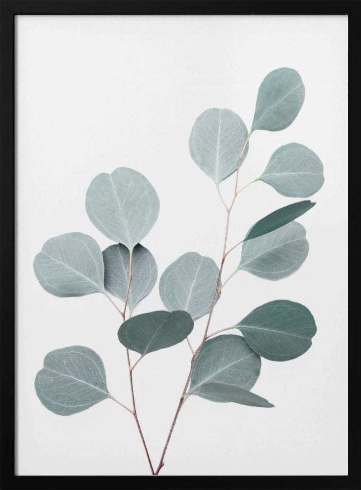 Silberdollar | Poster
