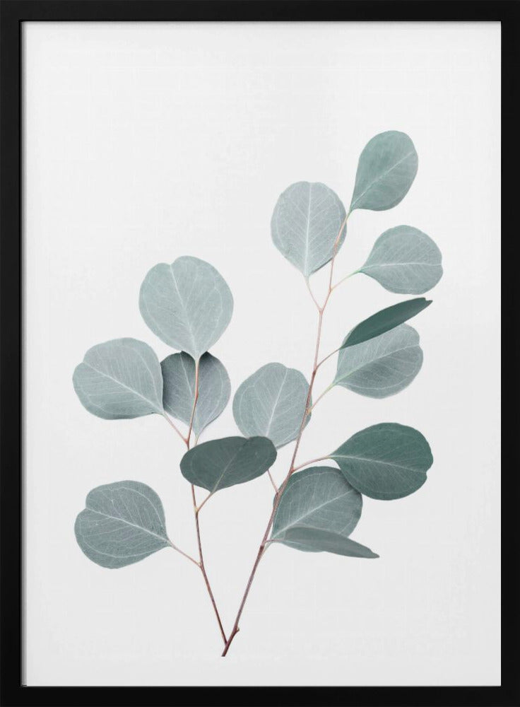 Silberdollar | Poster