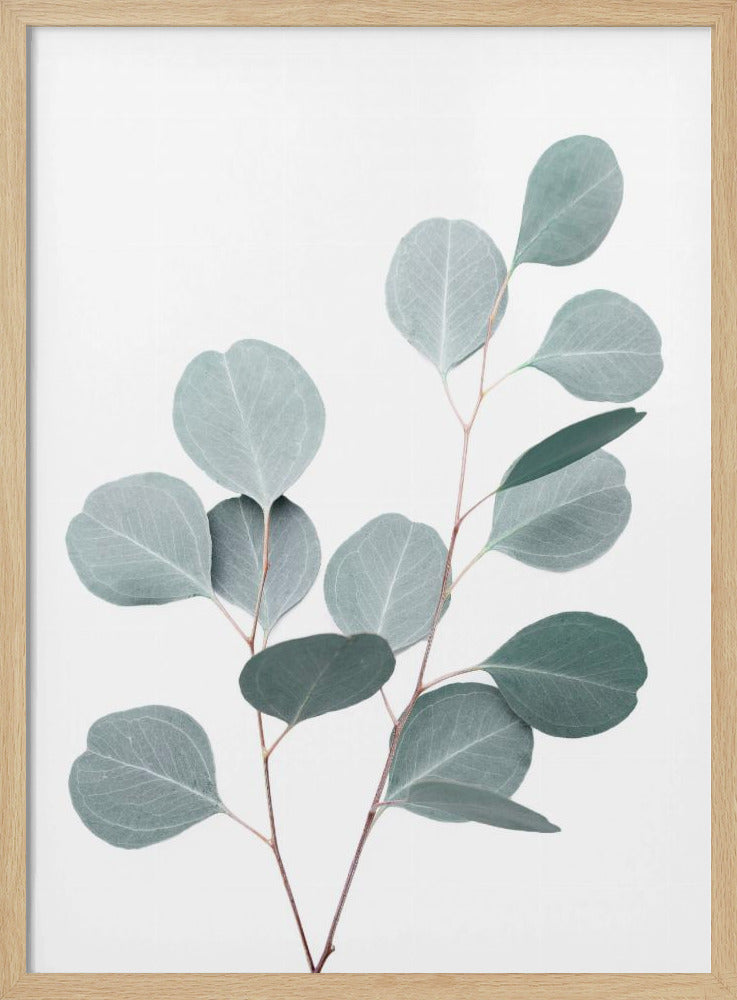 Silberdollar | Poster