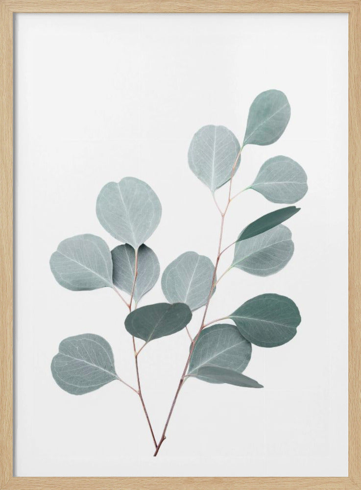 Silberdollar | Poster