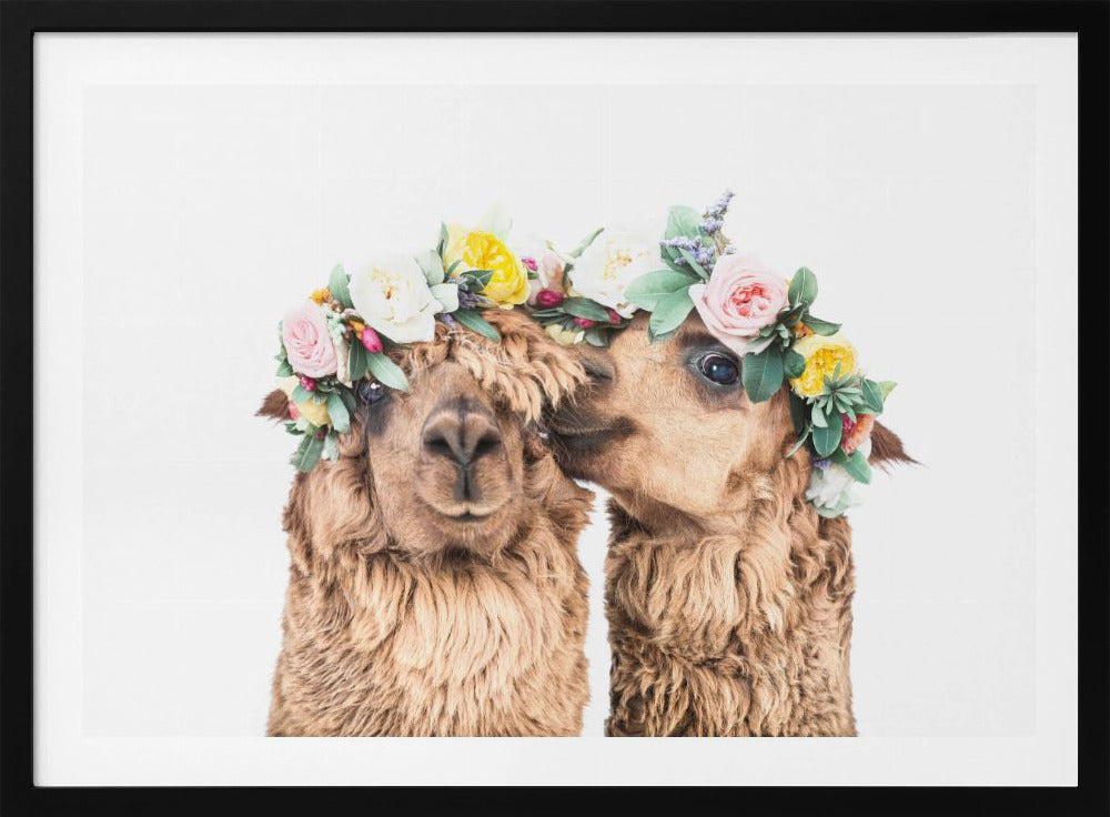 Boho Alpakas | Poster