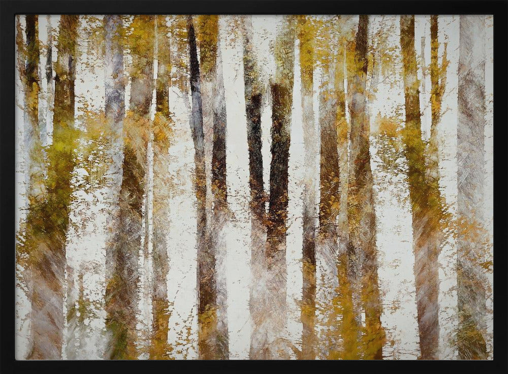 Beech in autumn | Poster