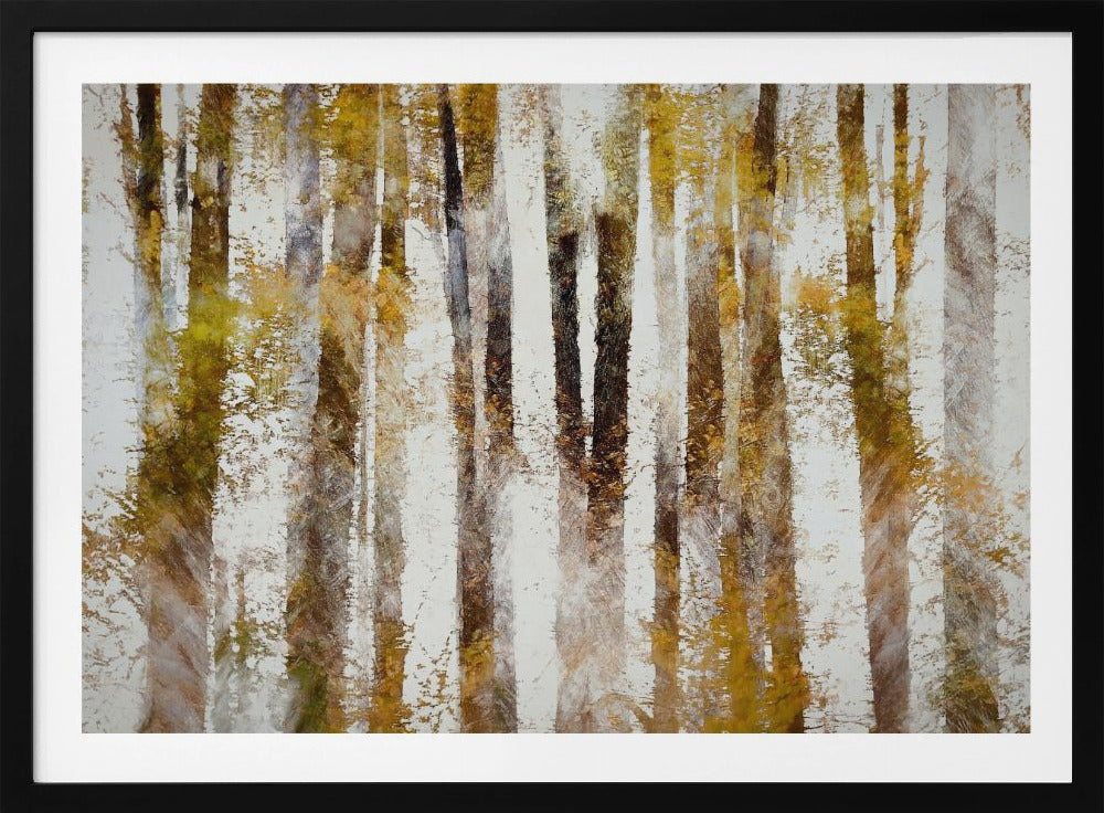 Beech in autumn | Poster