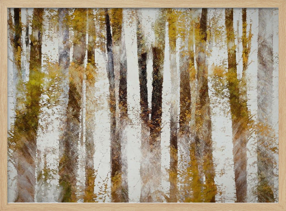 Beech in autumn | Poster