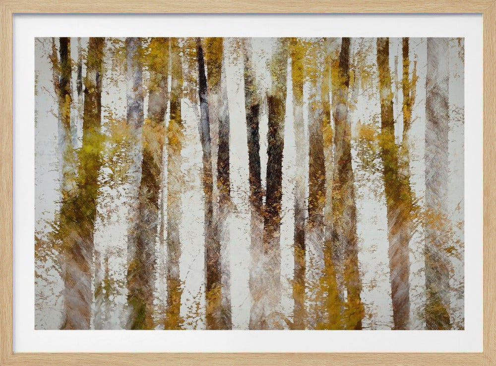Beech in autumn | Poster