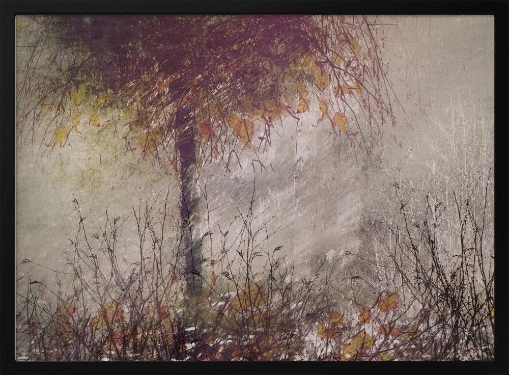 The birch | Poster