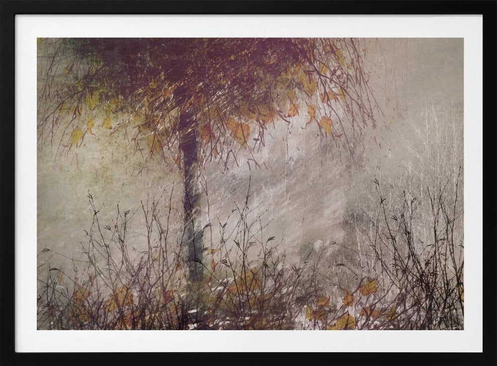 The birch | Poster