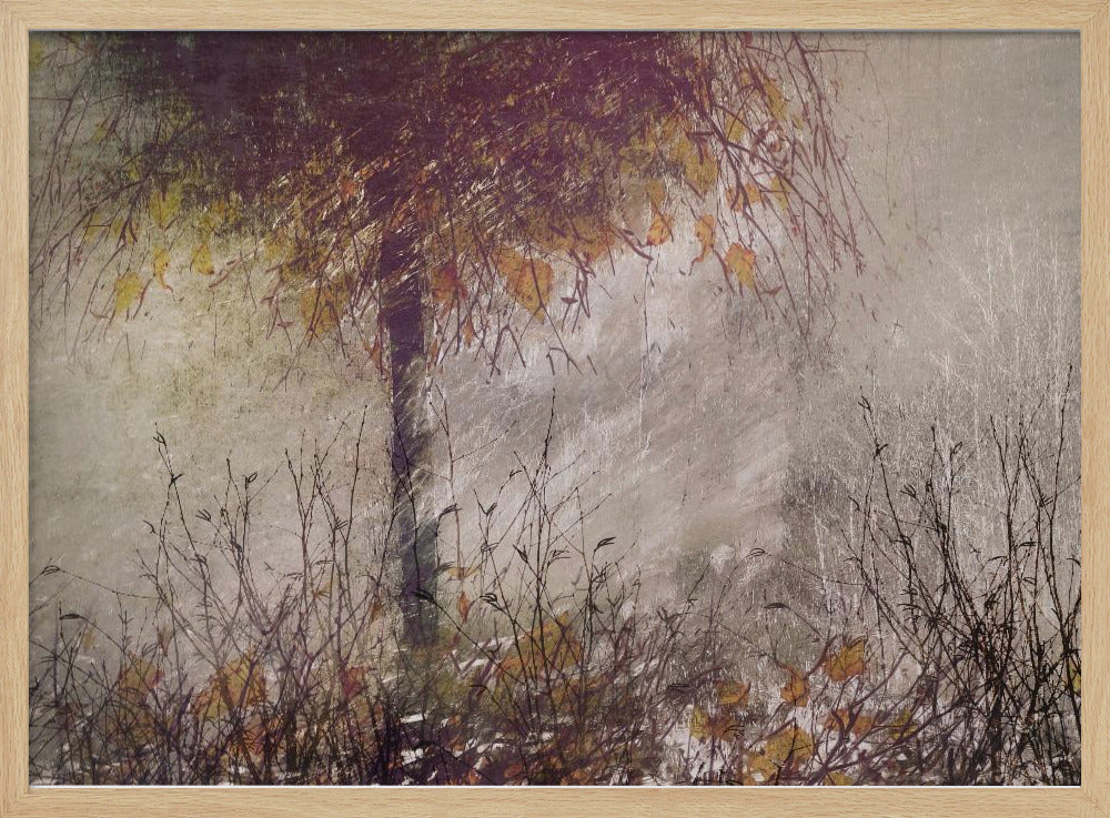 The birch | Poster