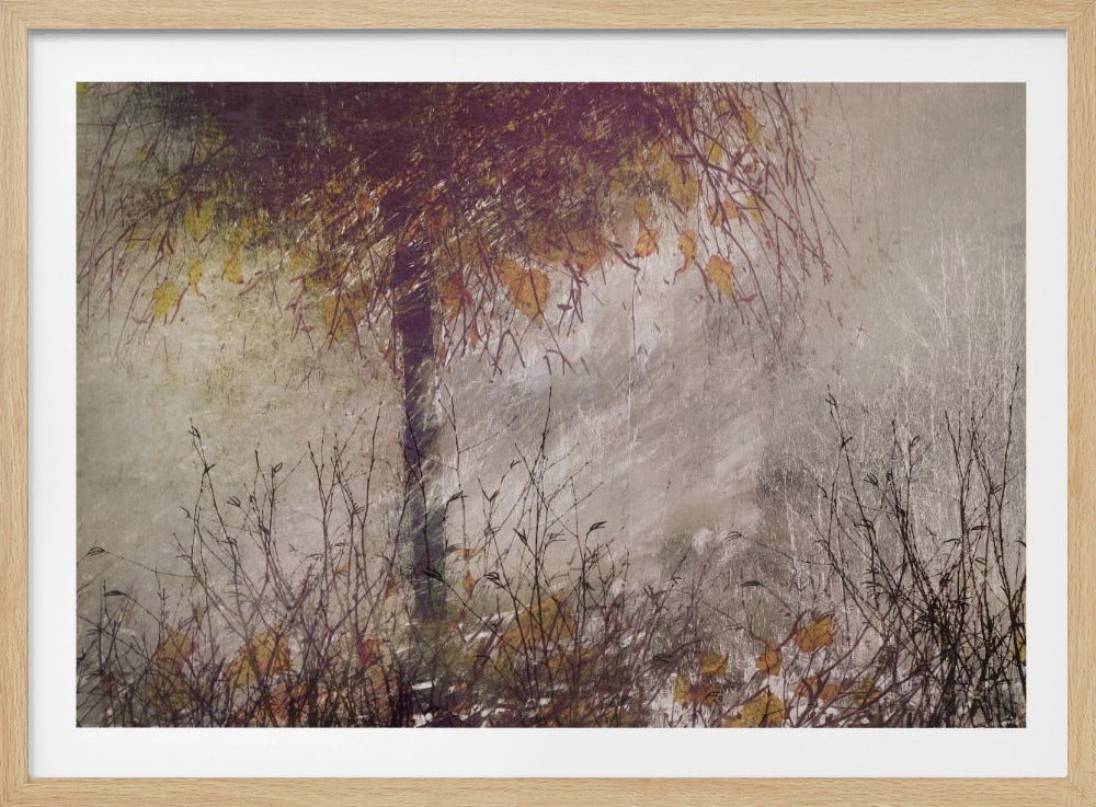 The birch | Poster