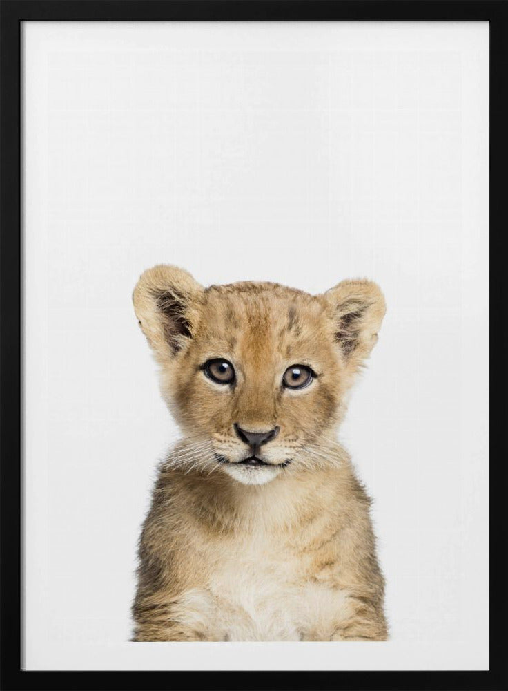 Baby Löwe | Poster