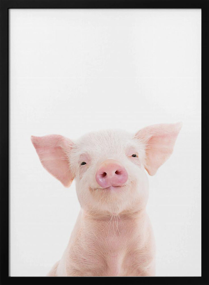 Babyschwein | Poster