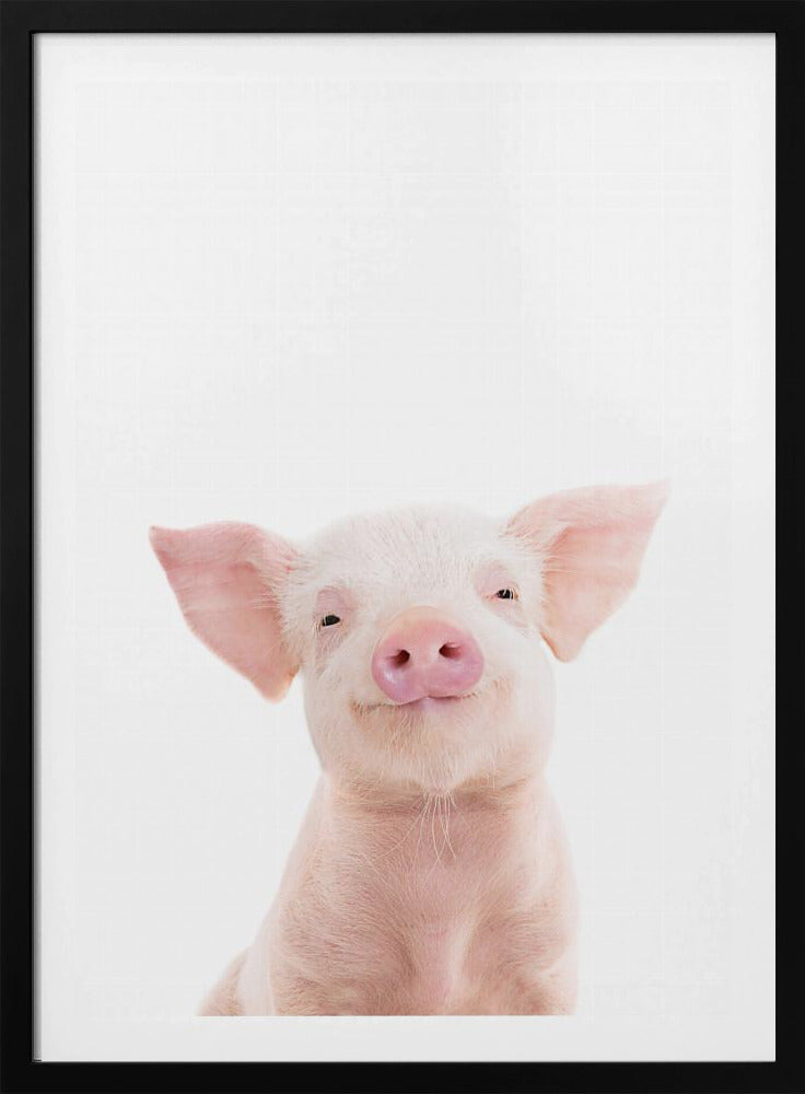 Babyschwein | Poster