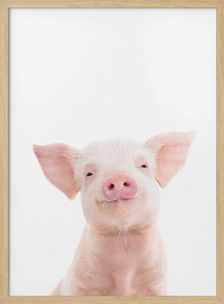Babyschwein | Poster
