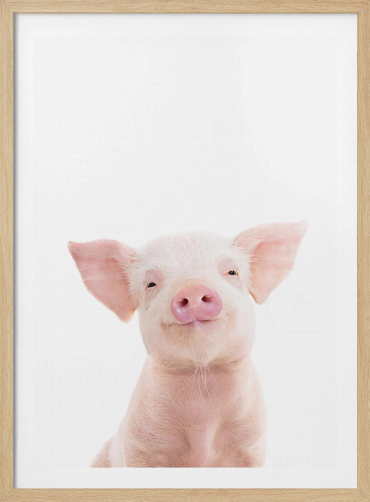 Babyschwein | Poster