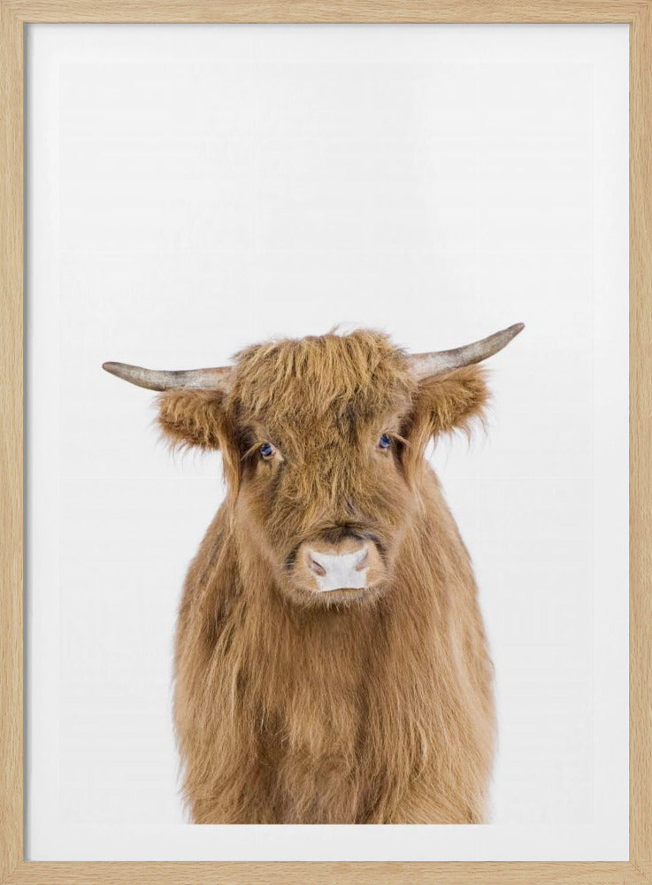 Baby Kuh | Poster