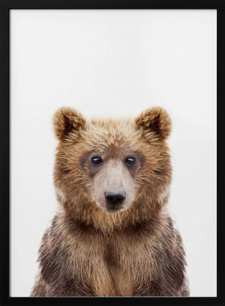 Babybär | Poster