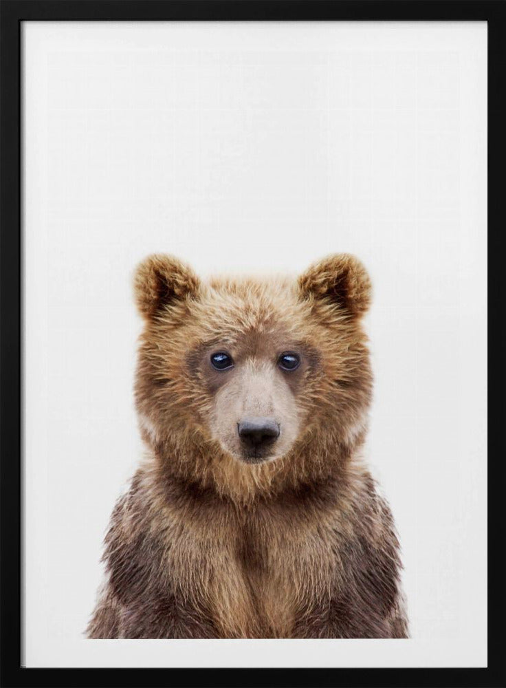 Babybär | Poster