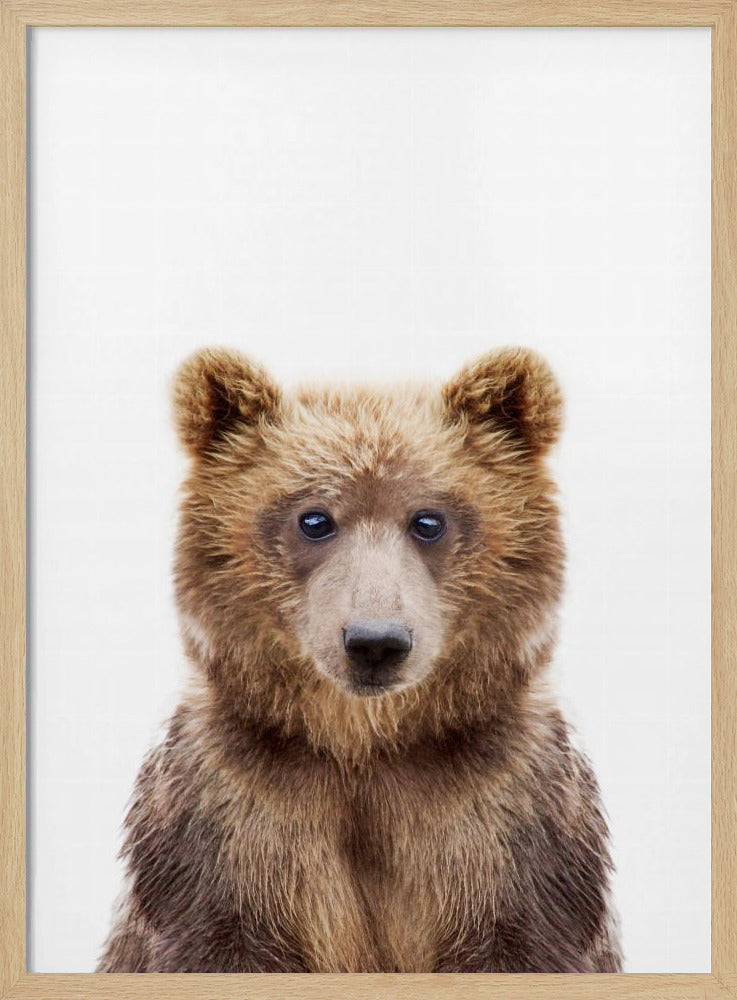 Babybär | Poster