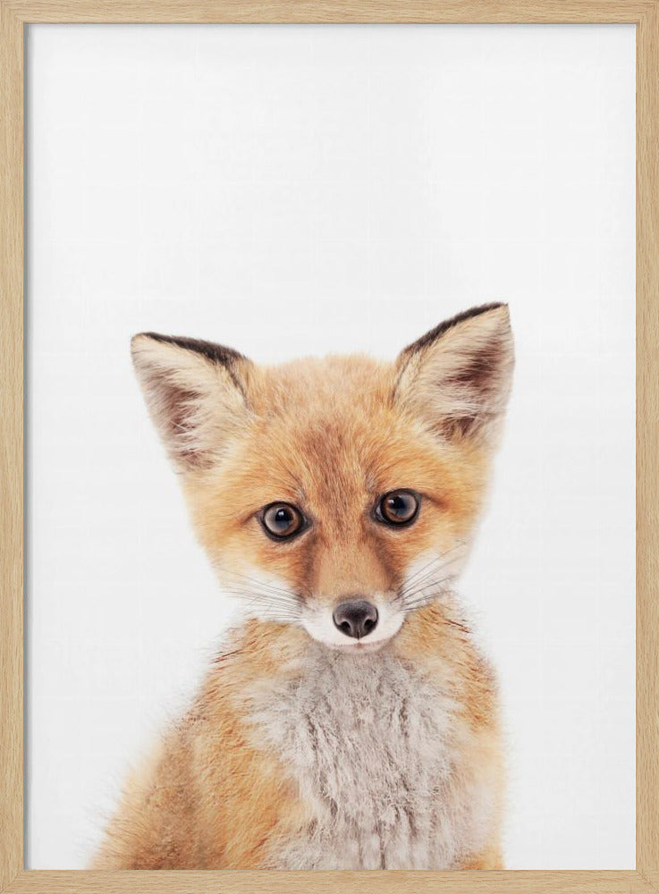 Baby Fuchs | Poster