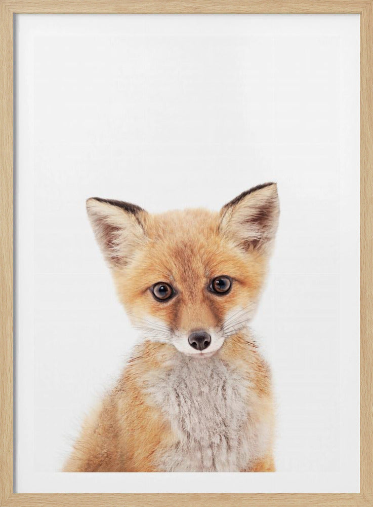 Baby Fuchs | Poster