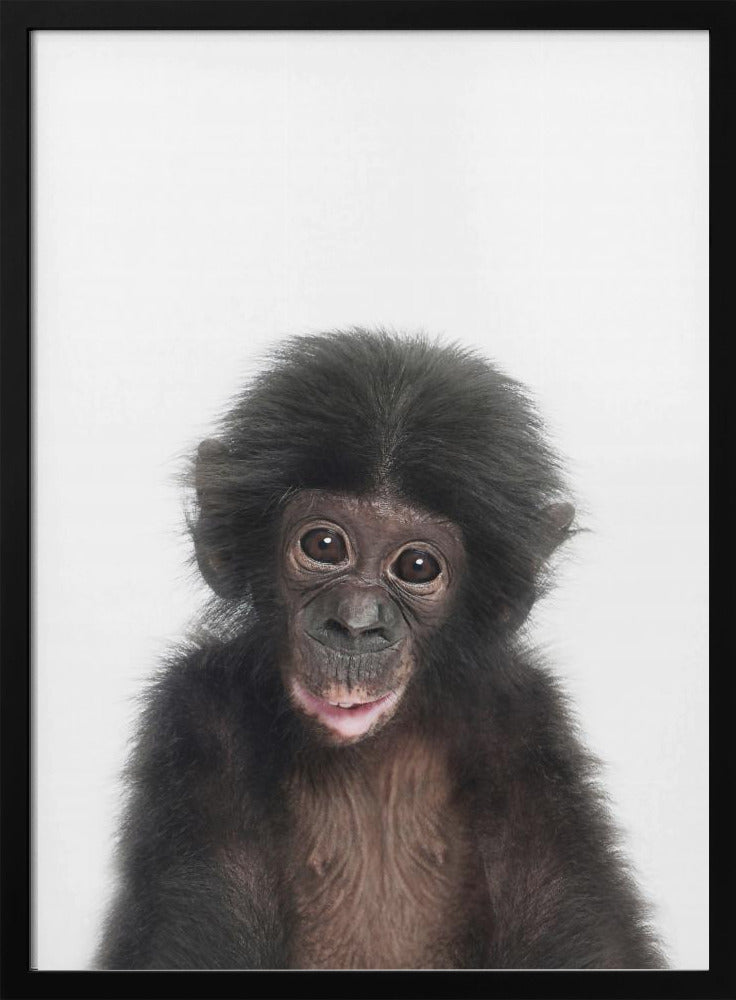 Baby Affe | Poster
