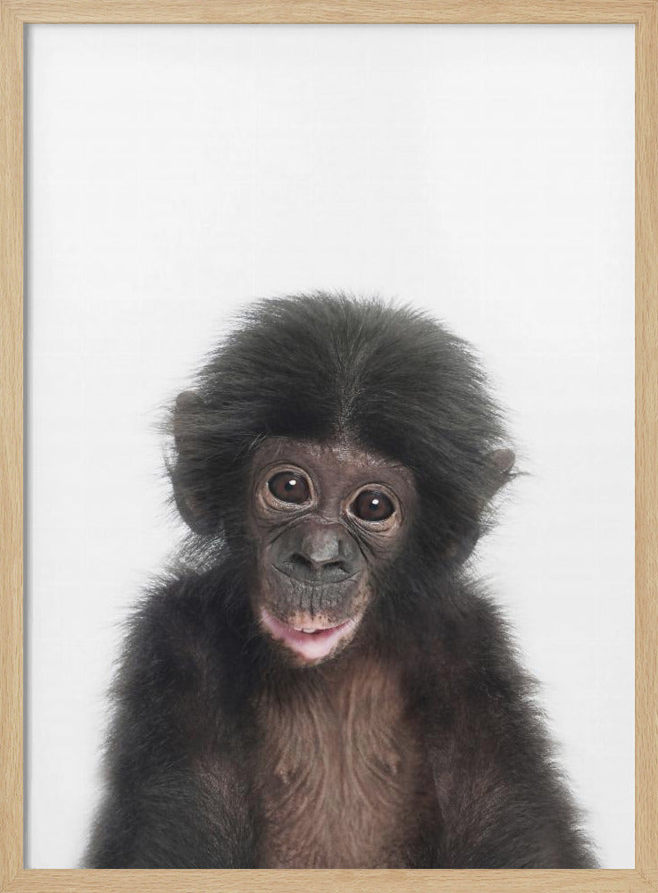 Baby Affe | Poster
