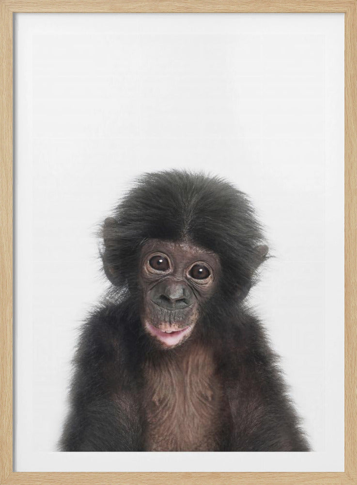 Baby Affe | Poster