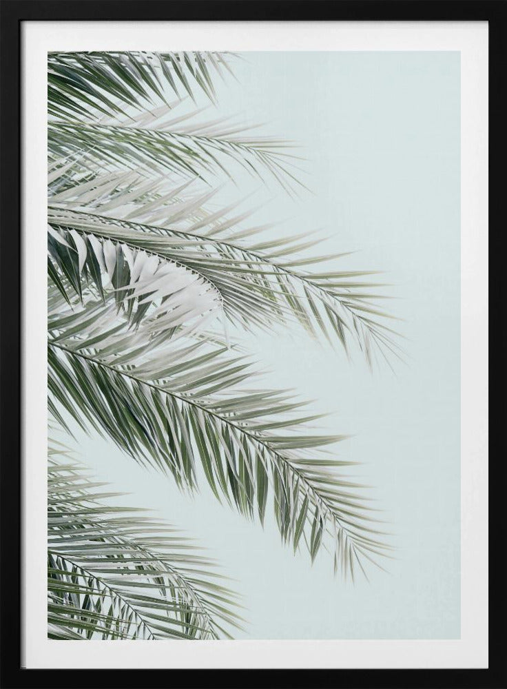 Blaue Palmen | Poster