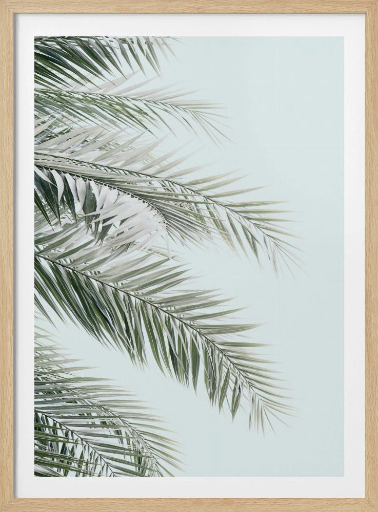 Blaue Palmen | Poster