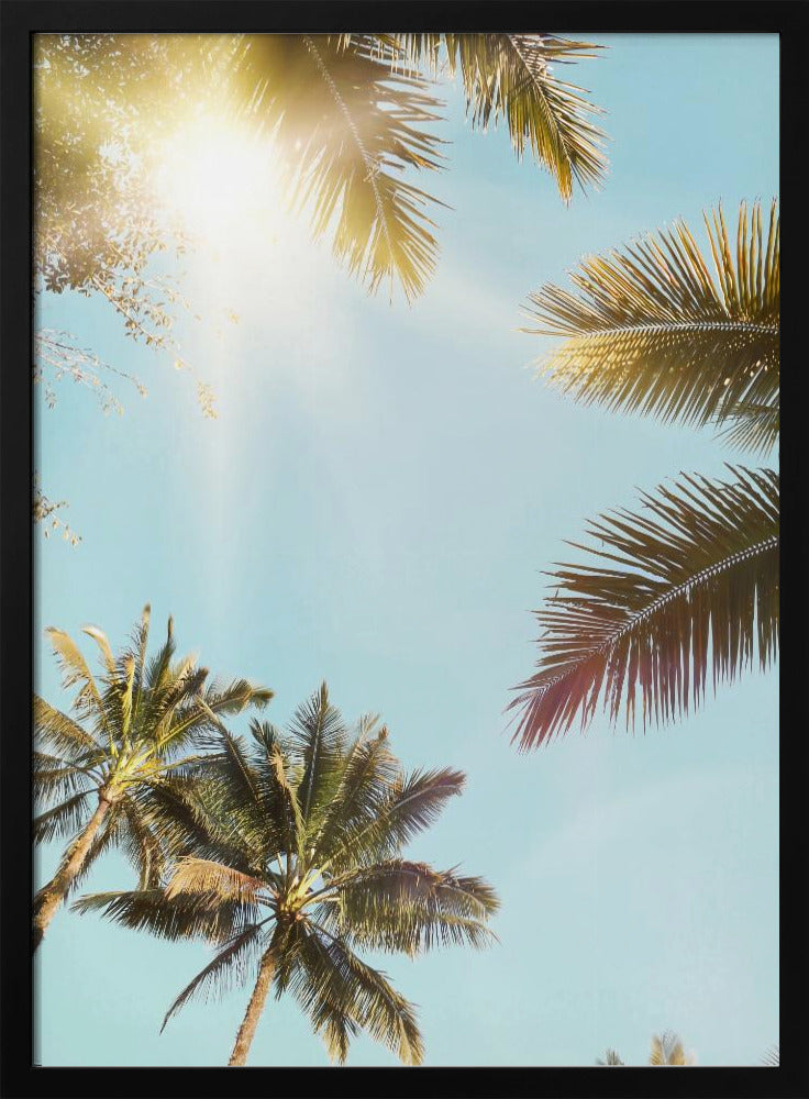 Sun Rays | Poster