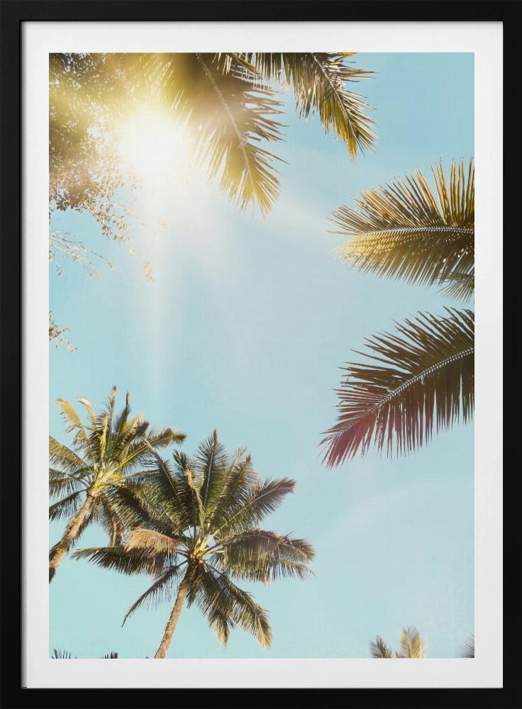 Sun Rays | Poster