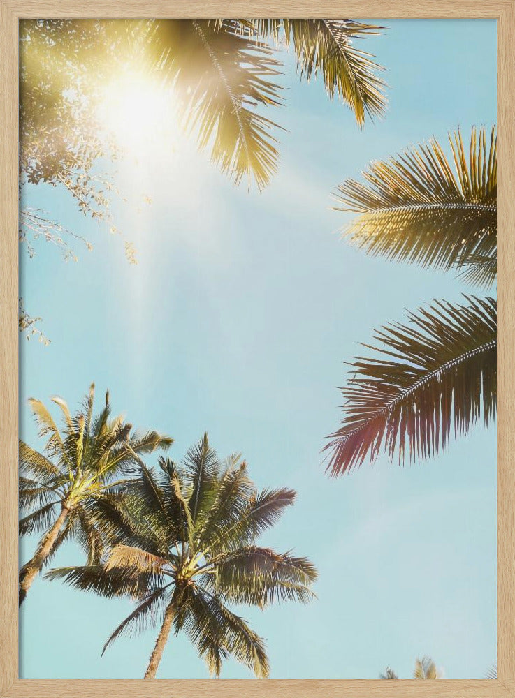 Sun Rays | Poster