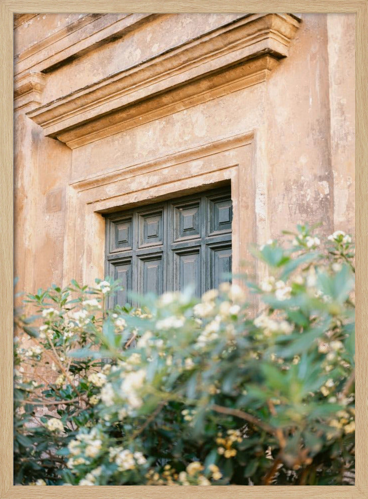 Botanical Trastevere Rome | Poster