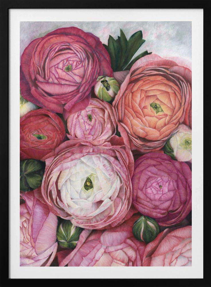 Arleth ranunculus bouquet in warm pink | Poster