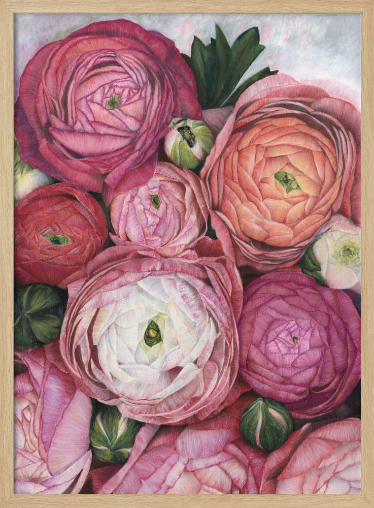 Arleth ranunculus bouquet in warm pink | Poster