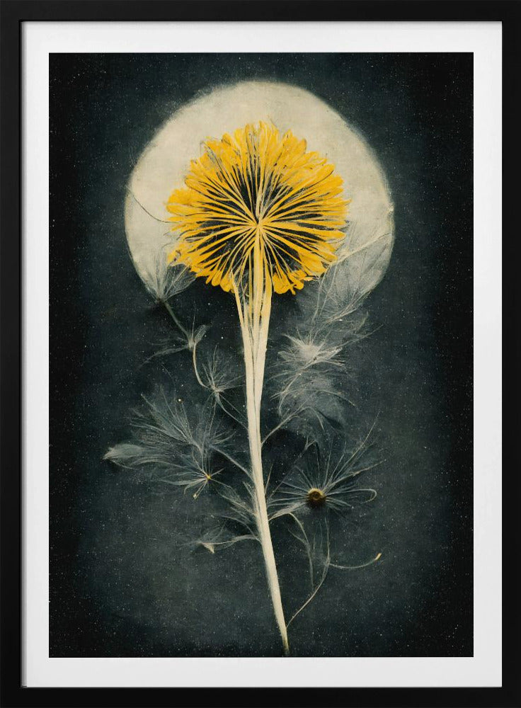 Himmlische Blüte | Poster