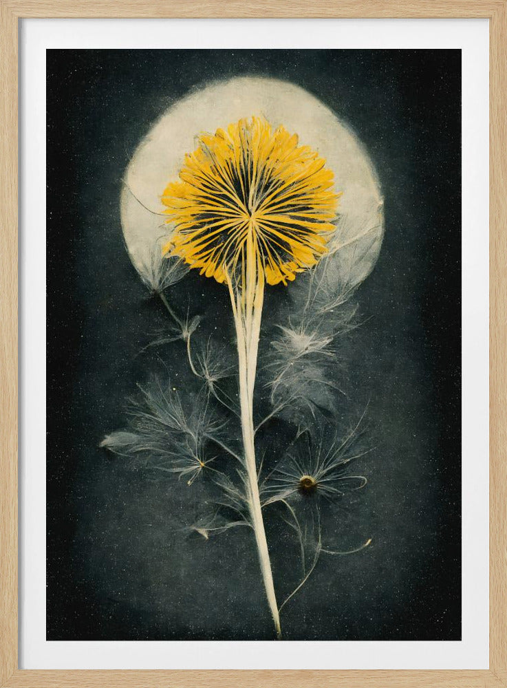 Himmlische Blüte | Poster