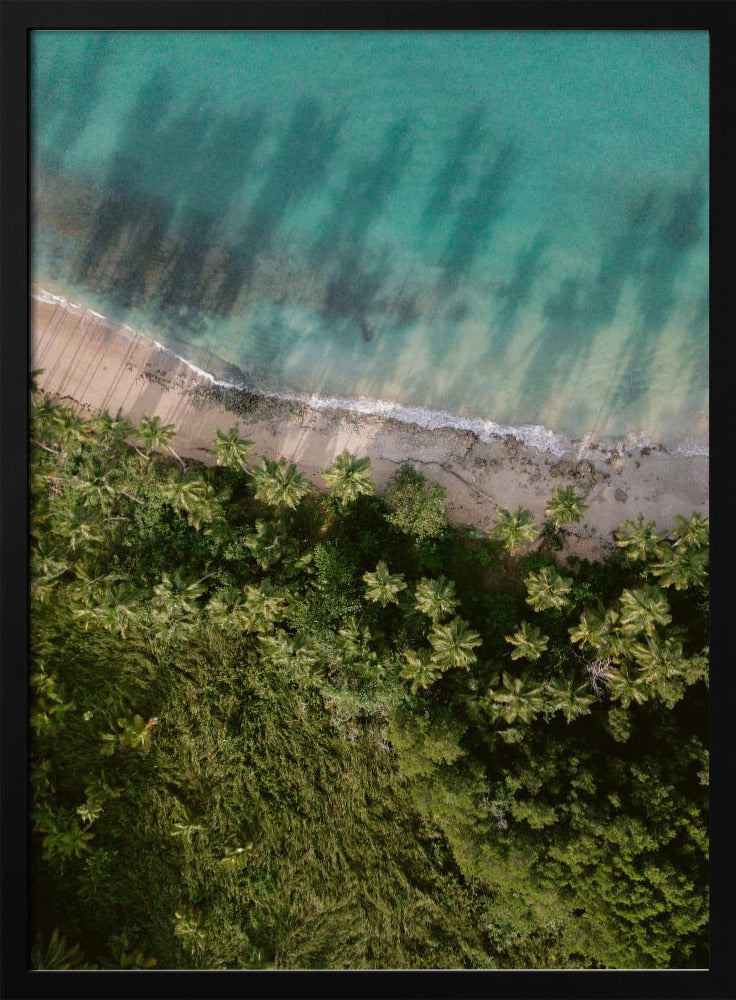 Palm Beach von oben | Poster