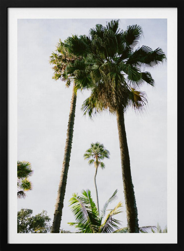 Finde mich unter der Palme | Poster