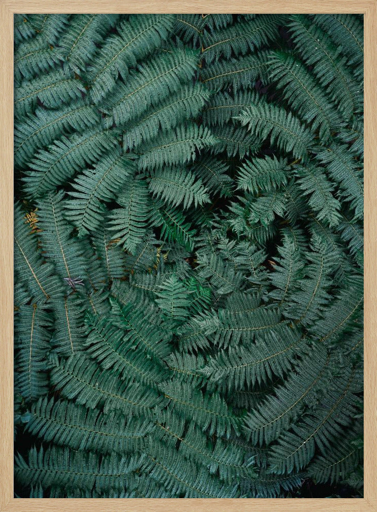Green Leaves | Poster