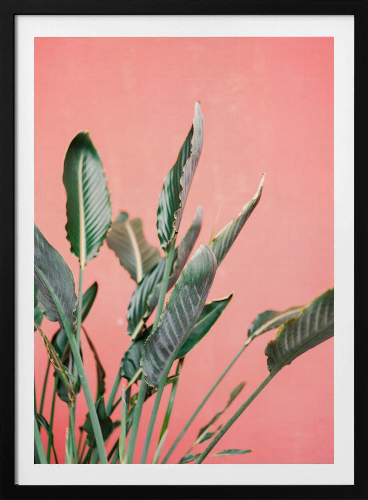 South Of Spain 7 | Poster