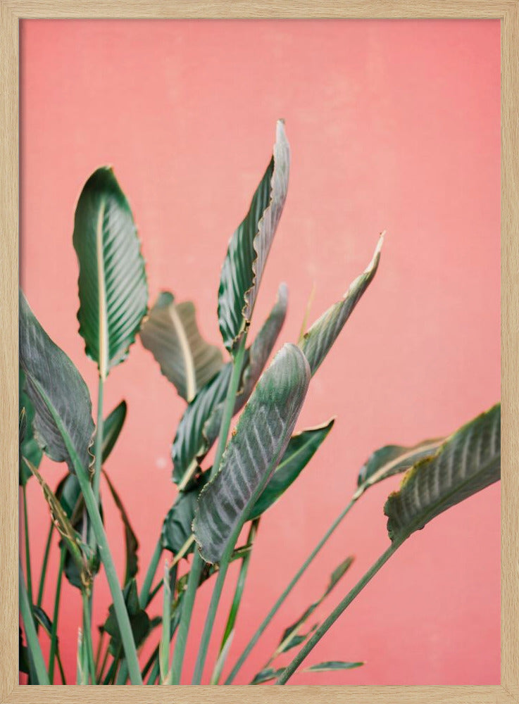 South Of Spain 7 | Poster