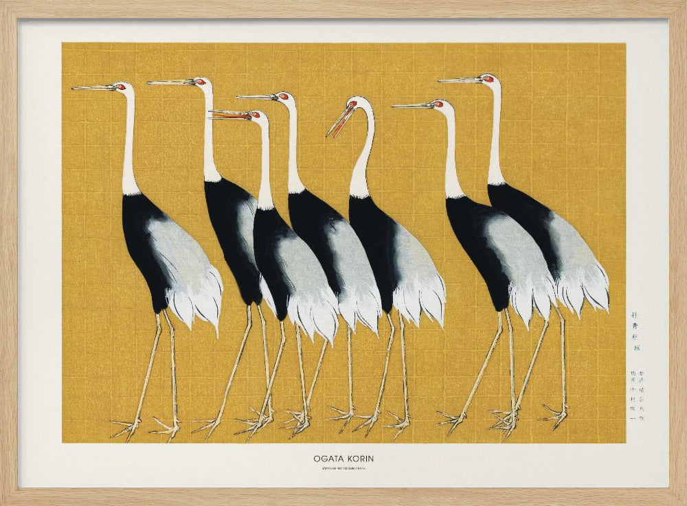 Japanischer Rotkronenkranich | Poster