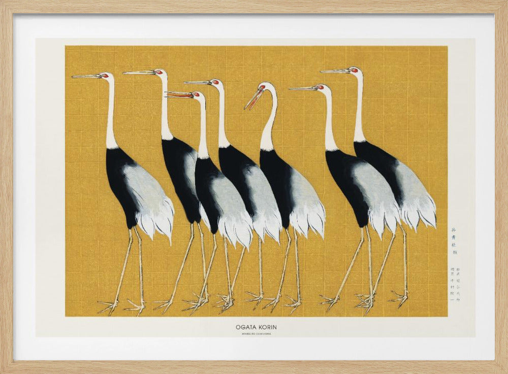 Japanischer Rotkronenkranich | Poster