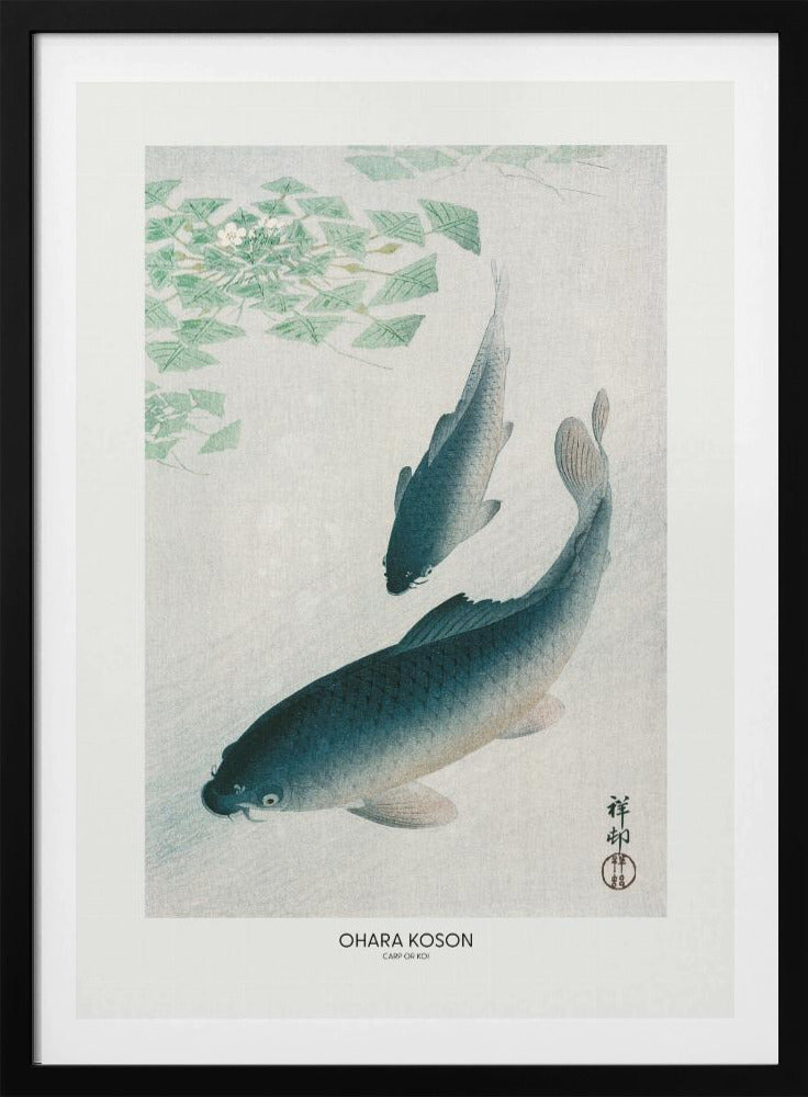 Carp Or Koi | Poster