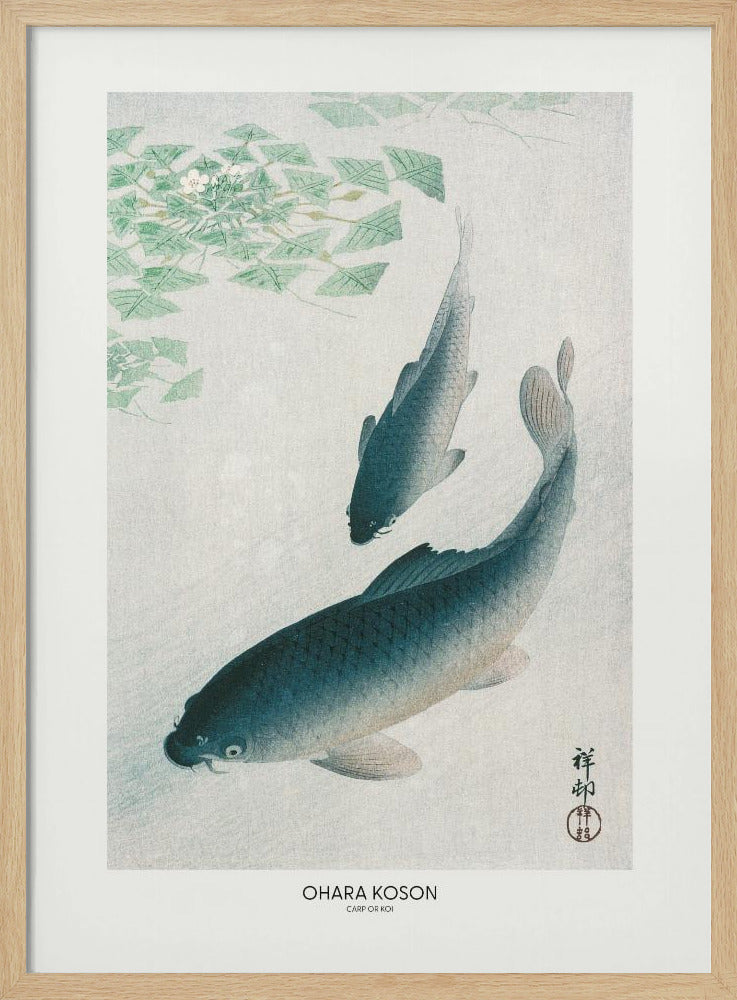 Carp Or Koi | Poster