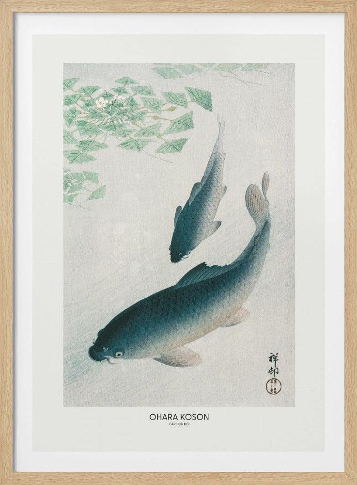 Carp Or Koi | Poster