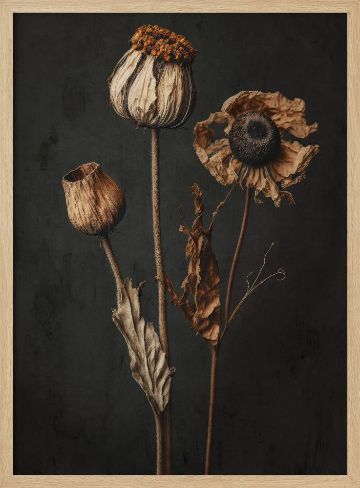 Verwelkte Eleganz | Poster
