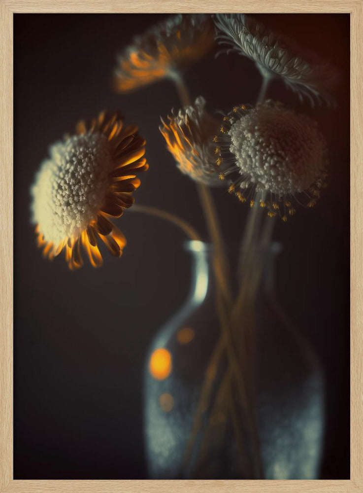 Leuchtende Blütenblätter | Poster