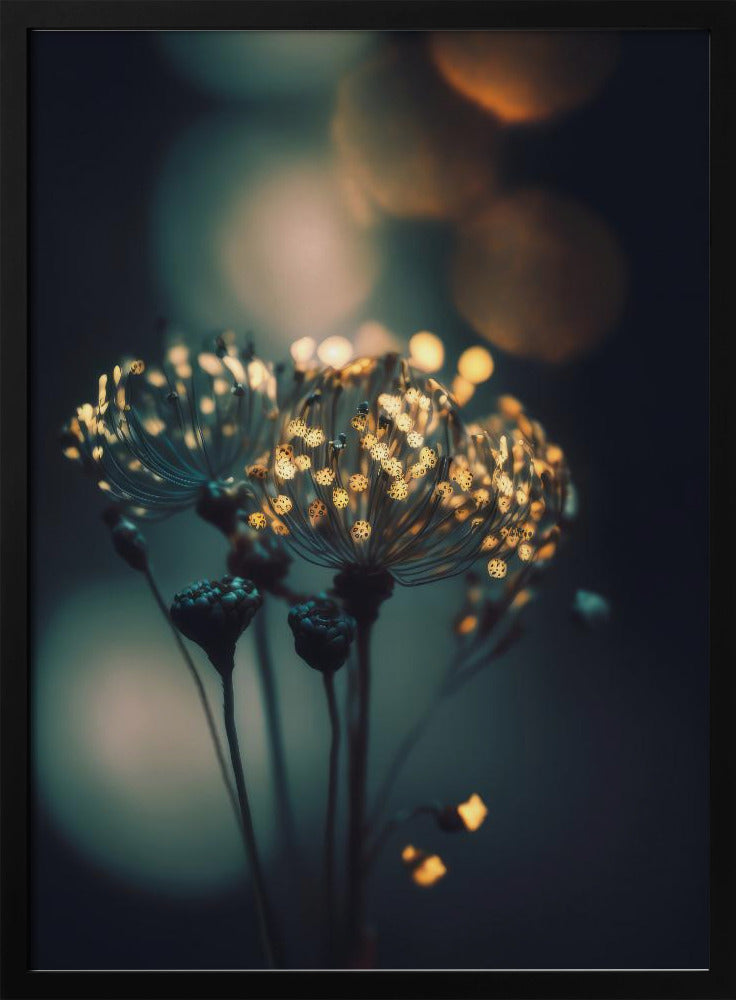 Verzauberte Blüten | Poster